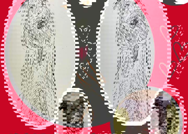 Aca Langsitzer Kids Bruno