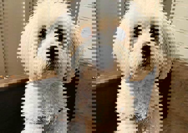 Aca Martys Party 24 52