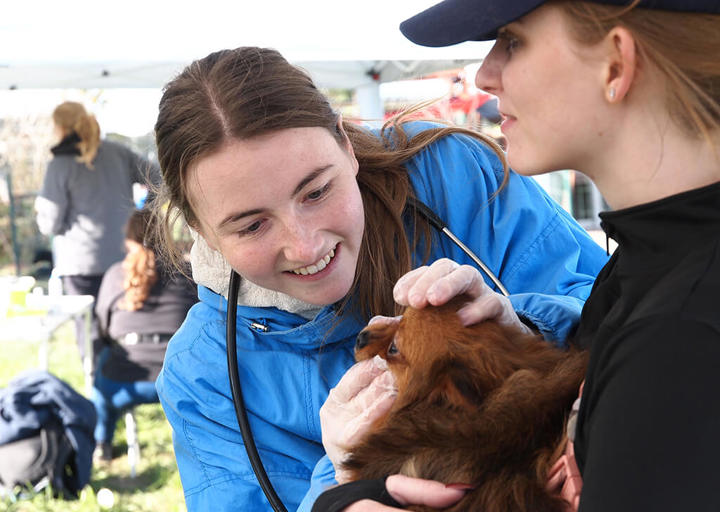 Kopie Von 25 10120572