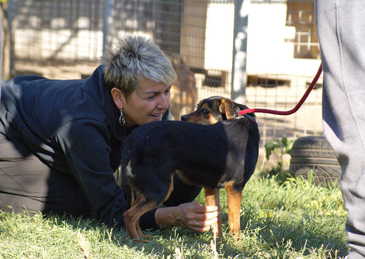 Kopie Von 25 12310516