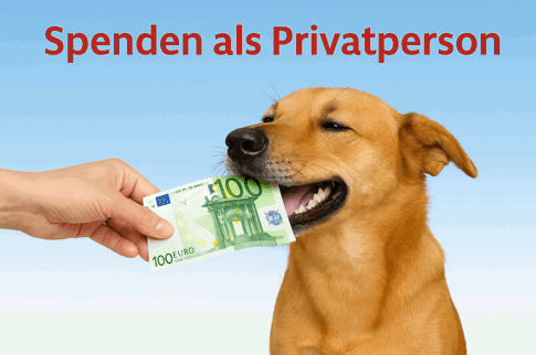 Spenden Als Privatperson Teaser (1)