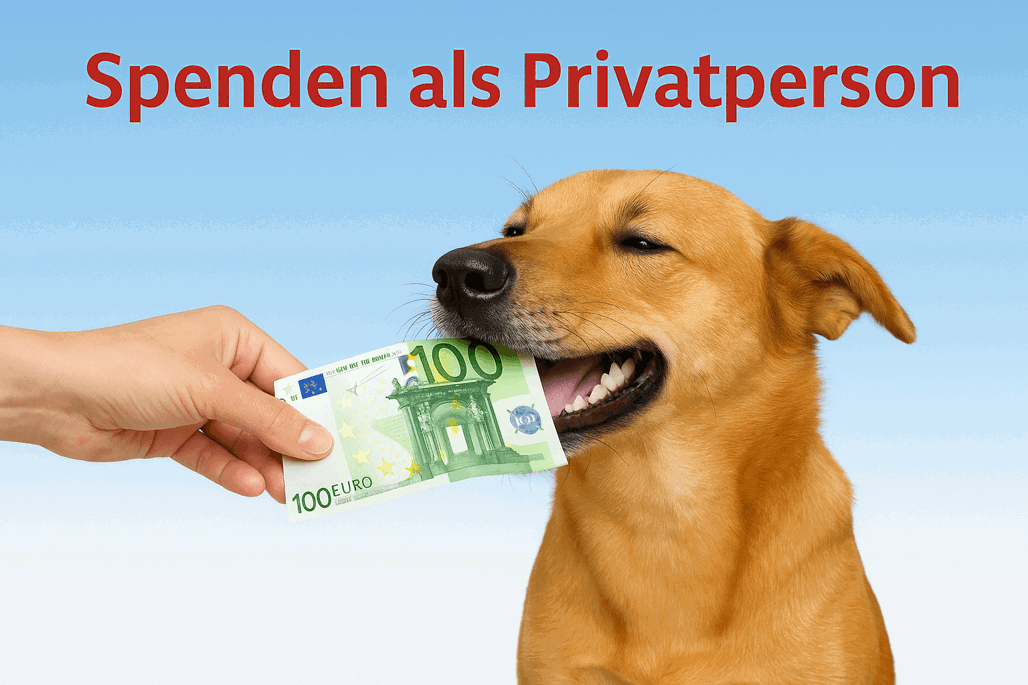 Spenden Als Privatperson Teaser (1)