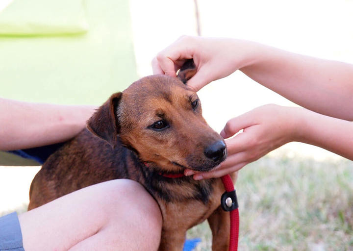 Kopie Von 25 07200280