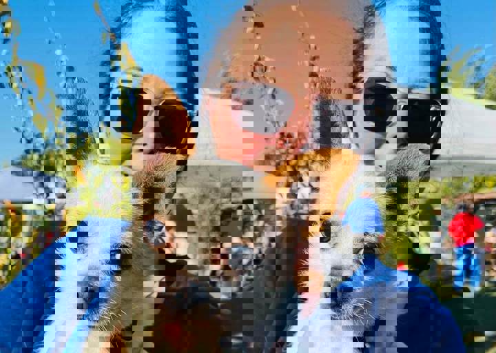 Aca Careday Okt 2025 59