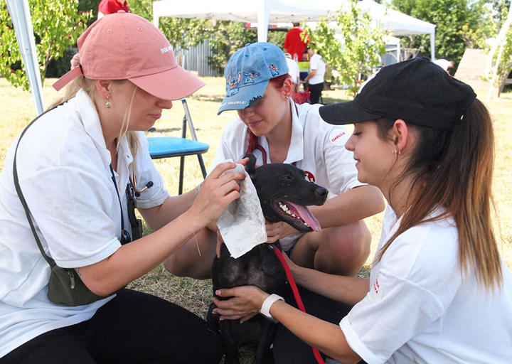 Kopie Von 25 07200286