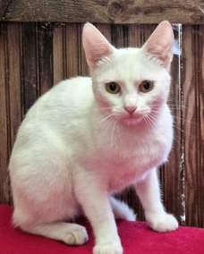 Wilma 1