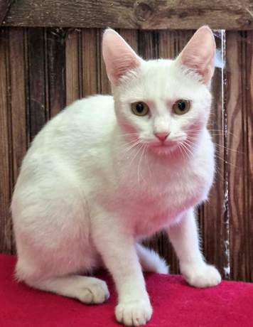 Wilma 1