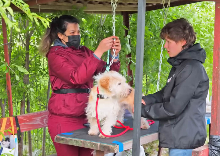 Kopie Von 25 05180252