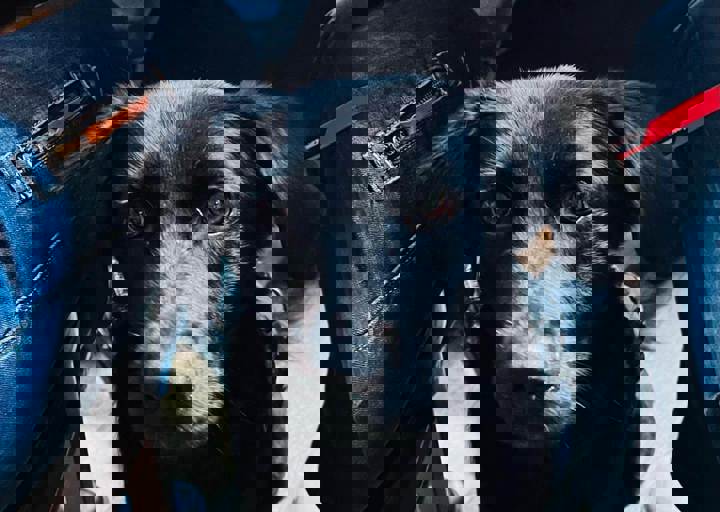 Aca Martys Party 24 16