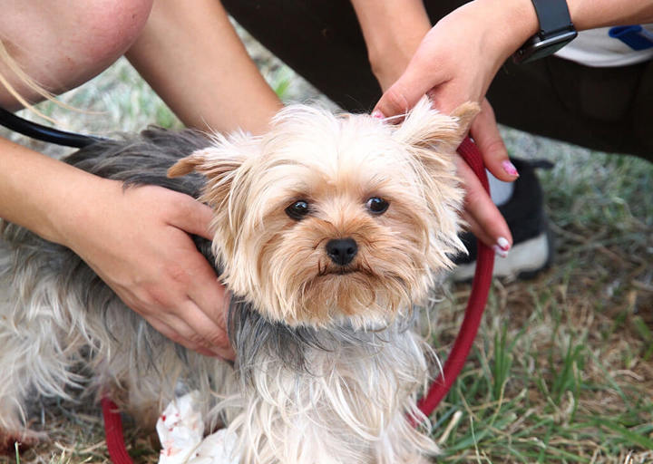 Kopie Von 25 07200432