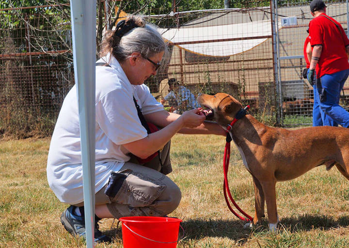 Kopie Von 25 07200147