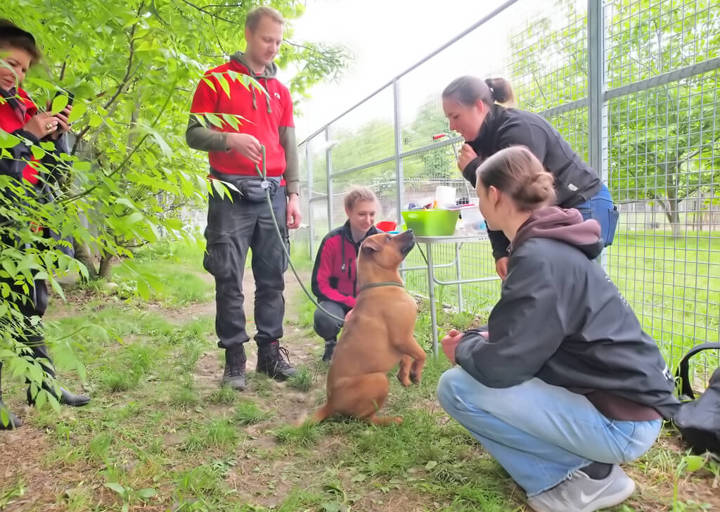 Kopie Von 25 05180162