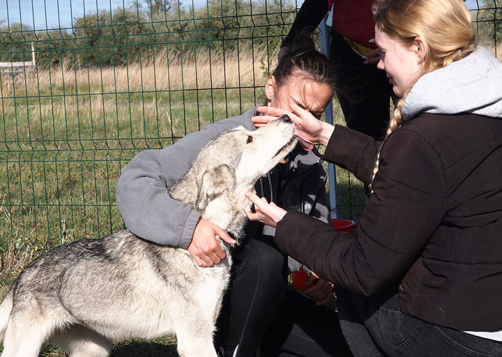 Kopie Von 25 10120518