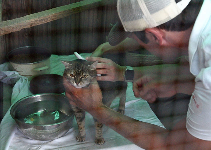 Kopie Von 25 07200440