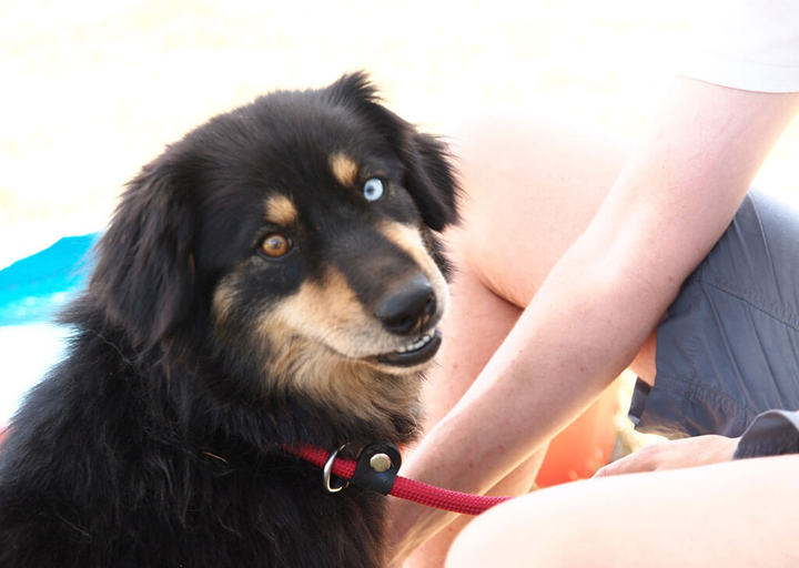 Kopie Von 25 07200394