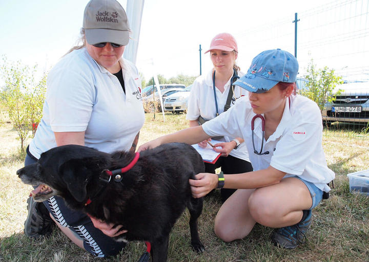 Kopie Von 25 07200215