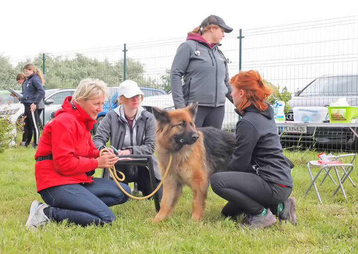 Kopie Von 25 05180227