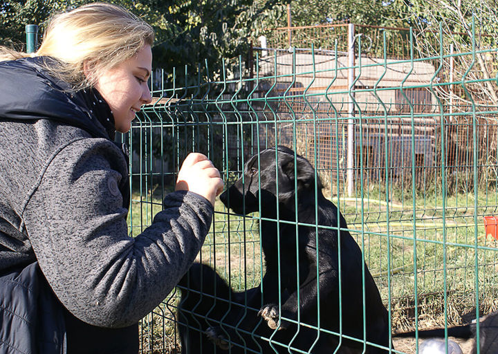 Kopie Von 25 10120009