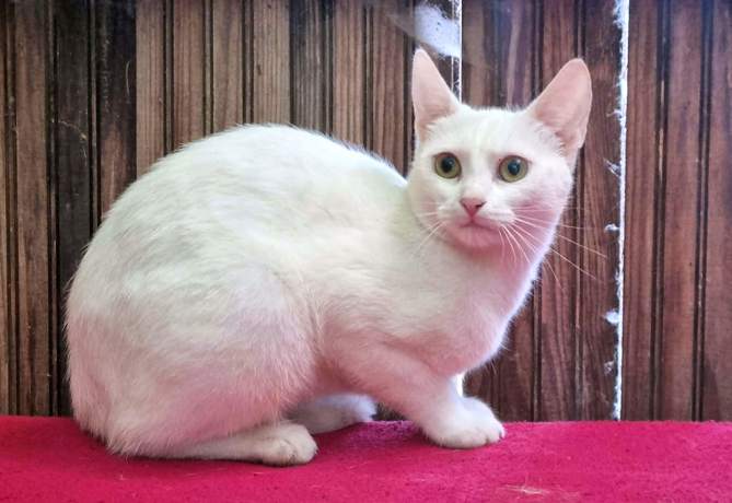 Wilma 4