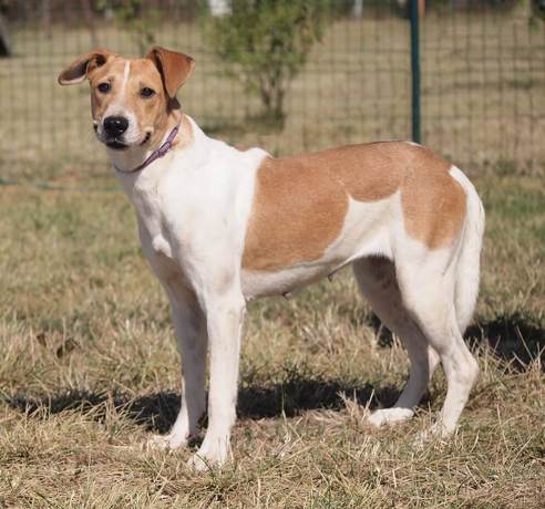 Tanja 2 (2)