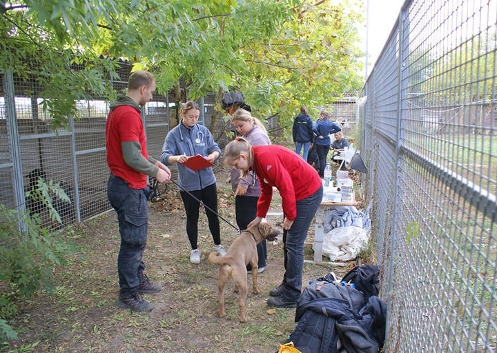 Kopie Von 25 10120260