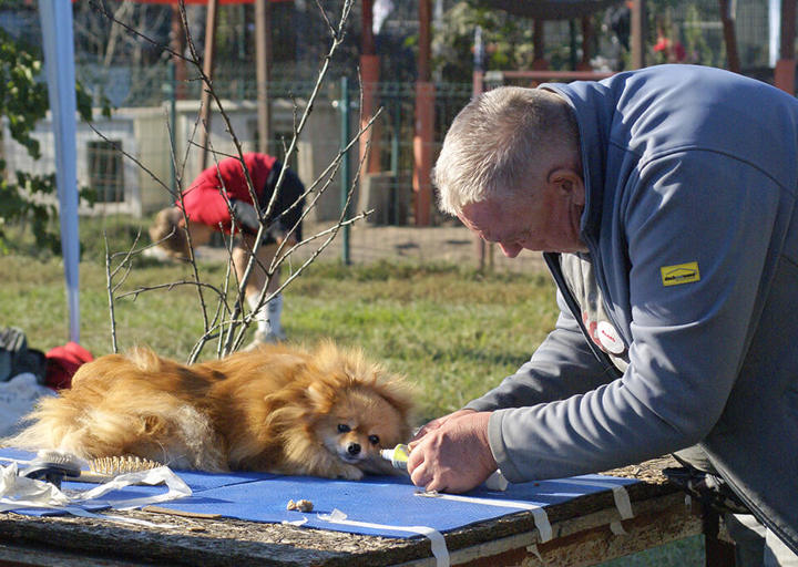 Kopie Von 25 10120591