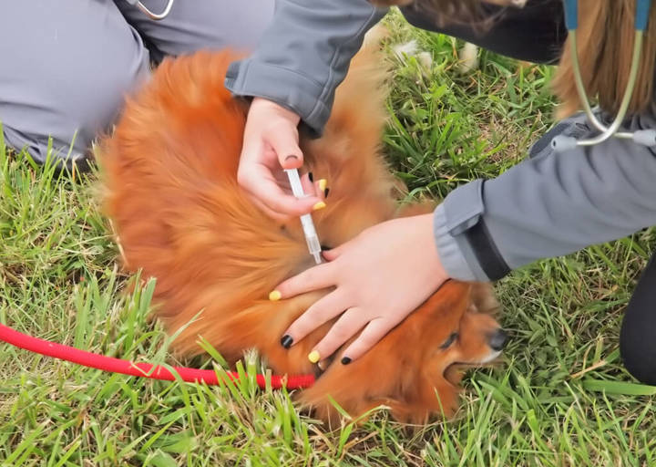 Kopie Von 25 05180114