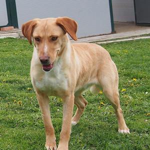 Matilda | Animal Care Austria