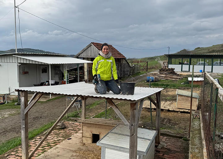 Aca Tierheim Svilos 10