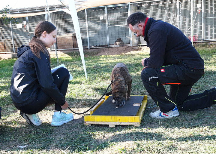 Kopie Von 25 10120593