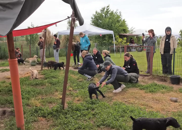 Kopie Von 25 05180018