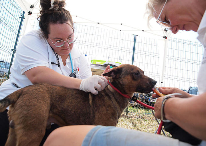 Kopie Von 25 07200229