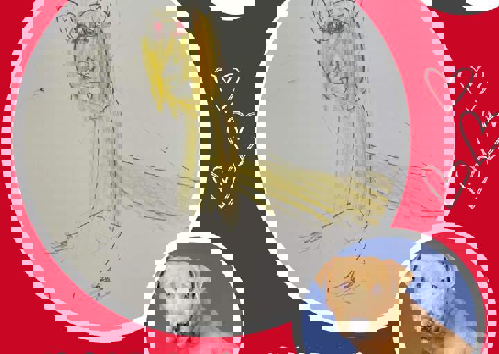 Aca Langsitzer Kids Aris