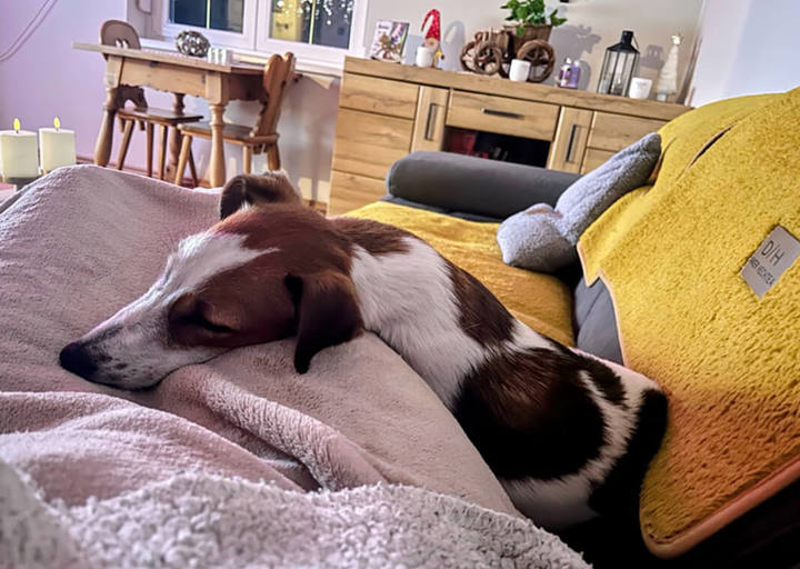Ronja2