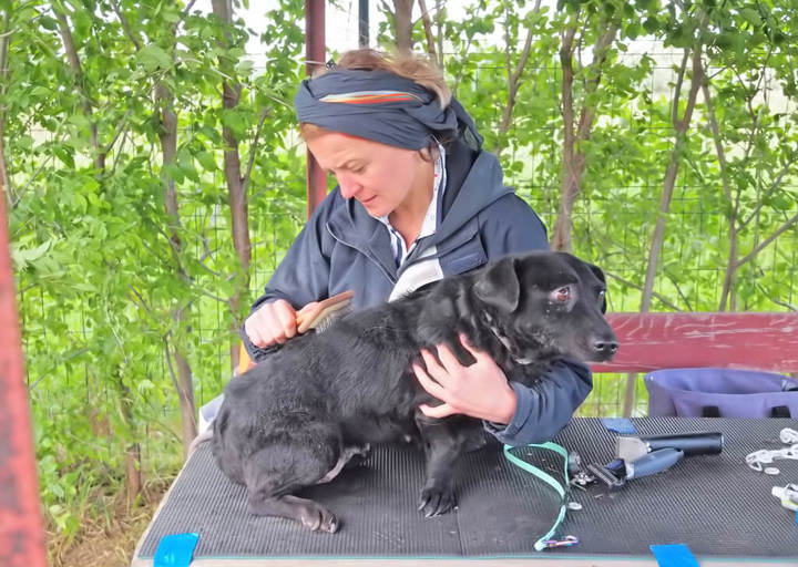 Kopie Von 25 05180295