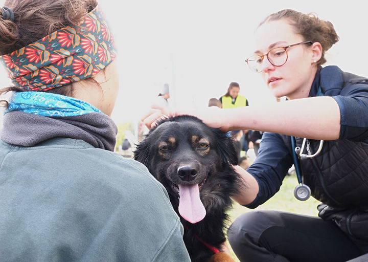 Kopie Von 25 10120391