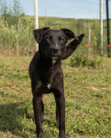 Lesley 1 (1)