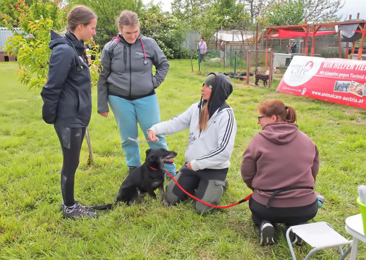 Kopie Von 25 05180257