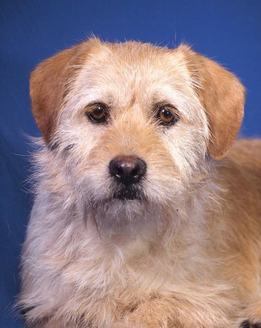 Lotti 4