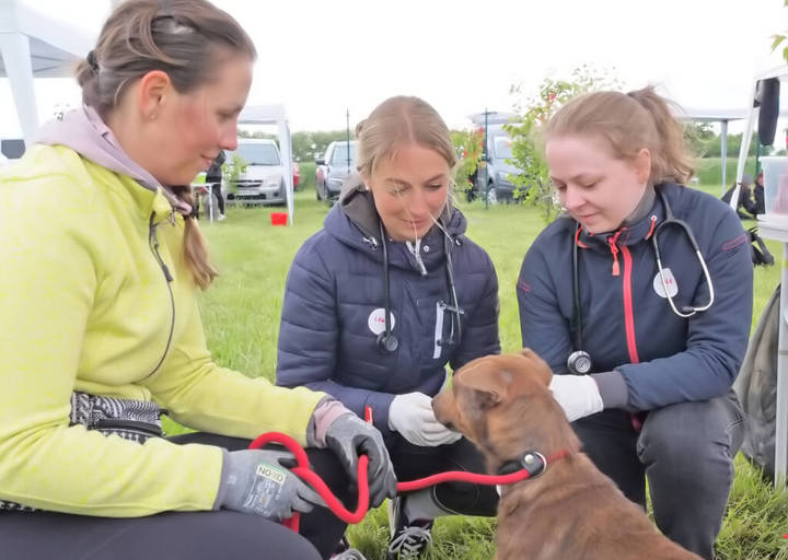 Kopie Von 25 05180143