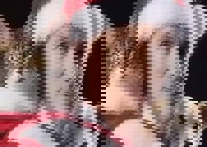 Aca Weihnachtskonzert 2025 01