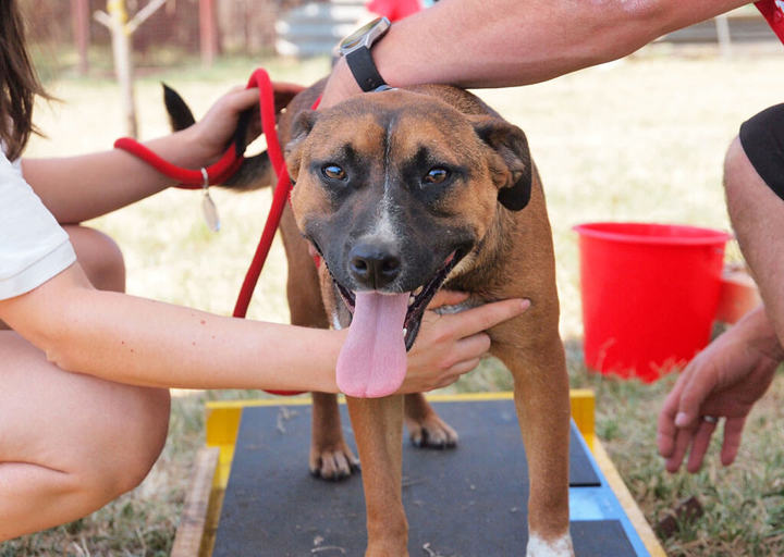 Kopie Von 25 07200150