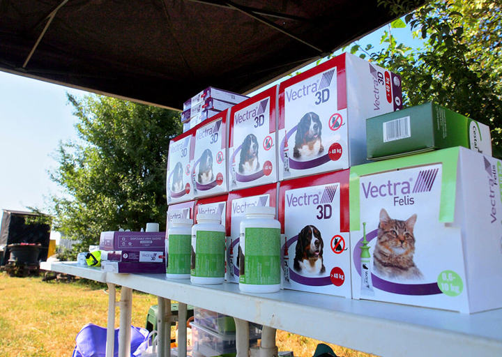 Kopie Von 25 07200008