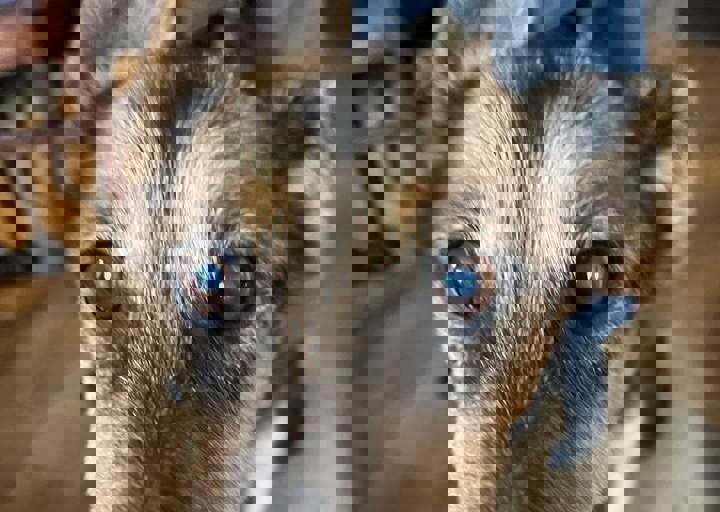 Aca Martys Party 24 50