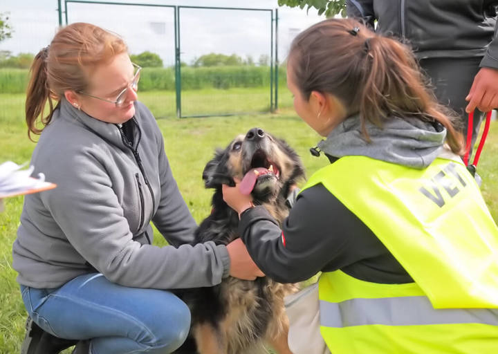 Kopie Von 25 05180282