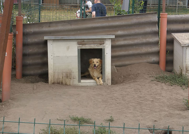 Kopie Von 26 07190355