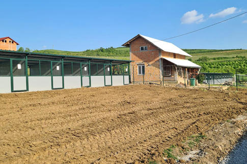 Aca Tierheim Svilos 1