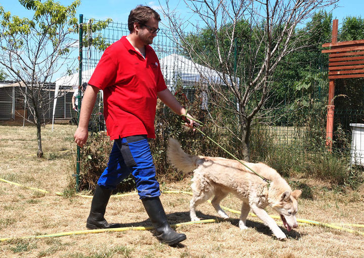 Kopie Von 25 07200363