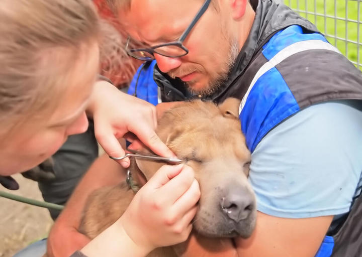 Kopie Von 25 05180185