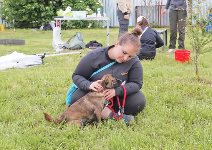 Kopie Von 25 05180249